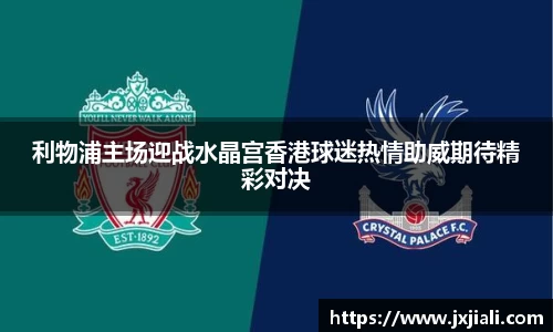 zoty中欧官方app下载