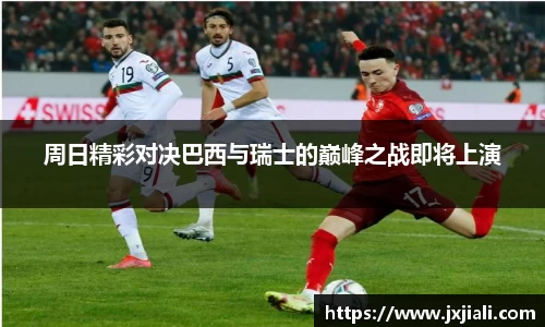zoty中欧官网
