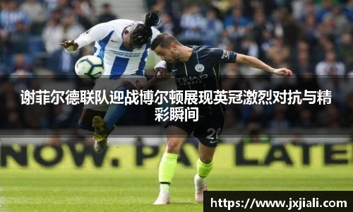 zoty中欧